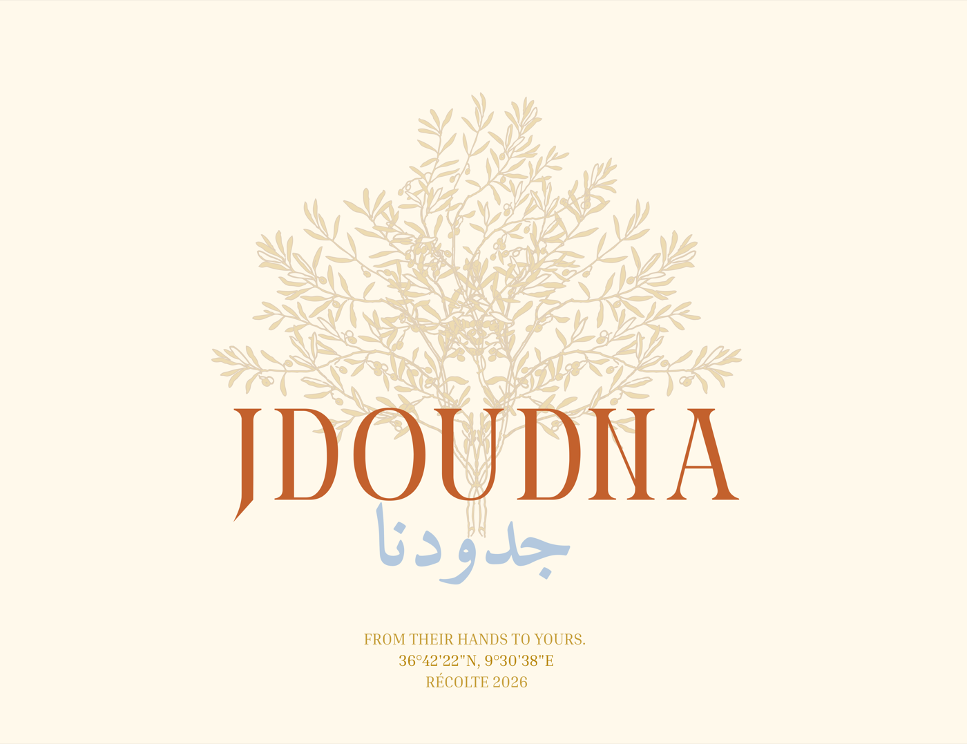 Jdoudna logo — an illustrated olive branch above the bilingual English/Arabic wordmark, in terracotta and dusty blue